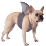 Shark Fin for Dogs
