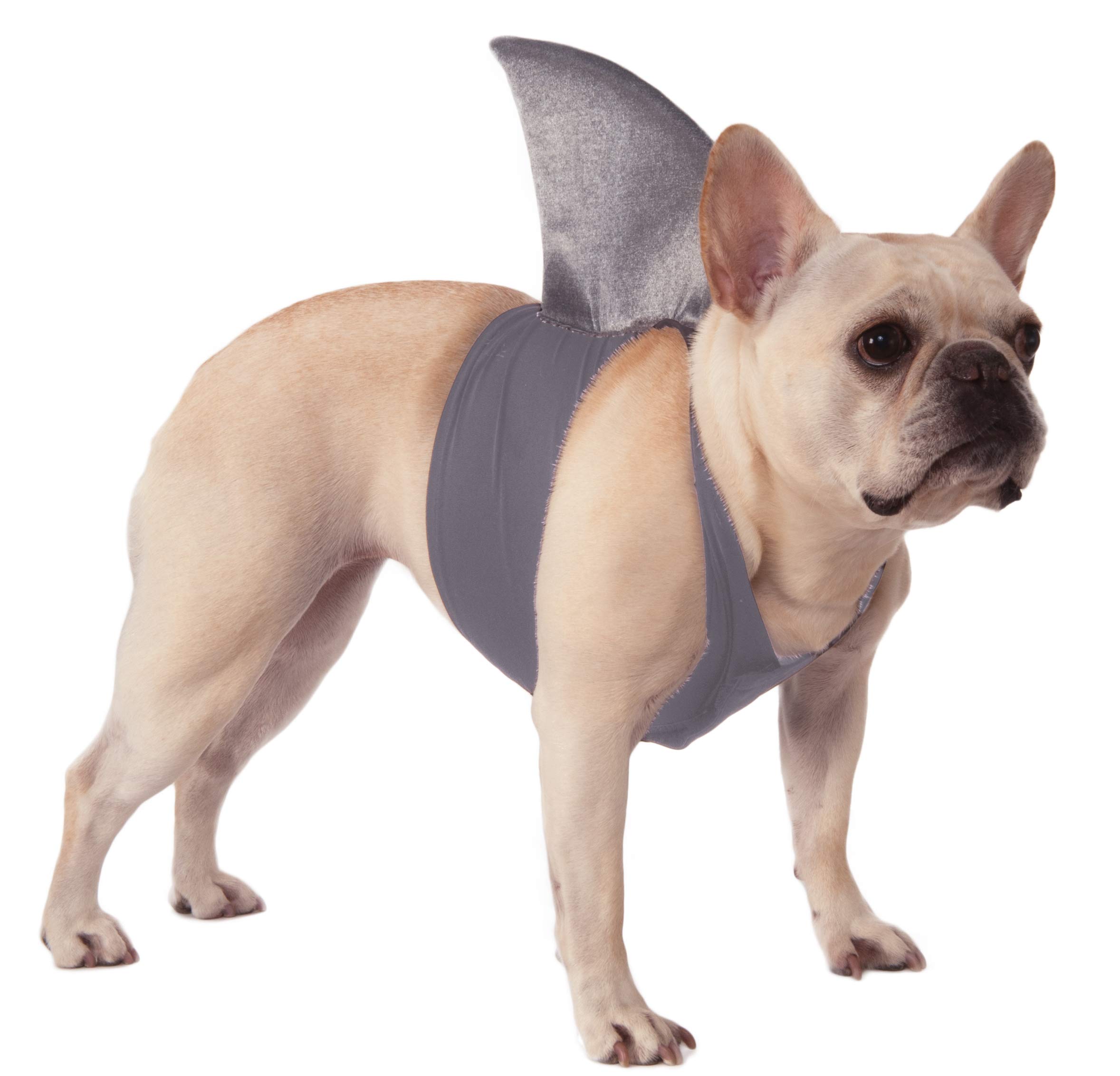 Shark Fin for Dogs